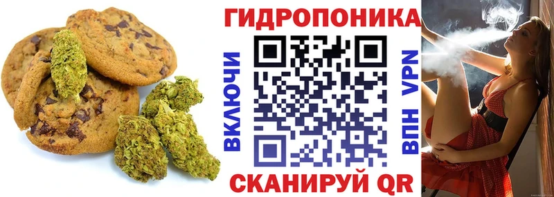 Купить где  Нариманов  Canna-Cookies конопля 