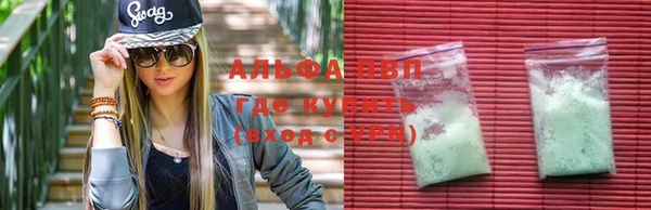 ECSTASY Белокуриха